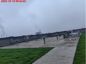 0d925536-d2c2-4b13-9f3e-3641ba50d377.png